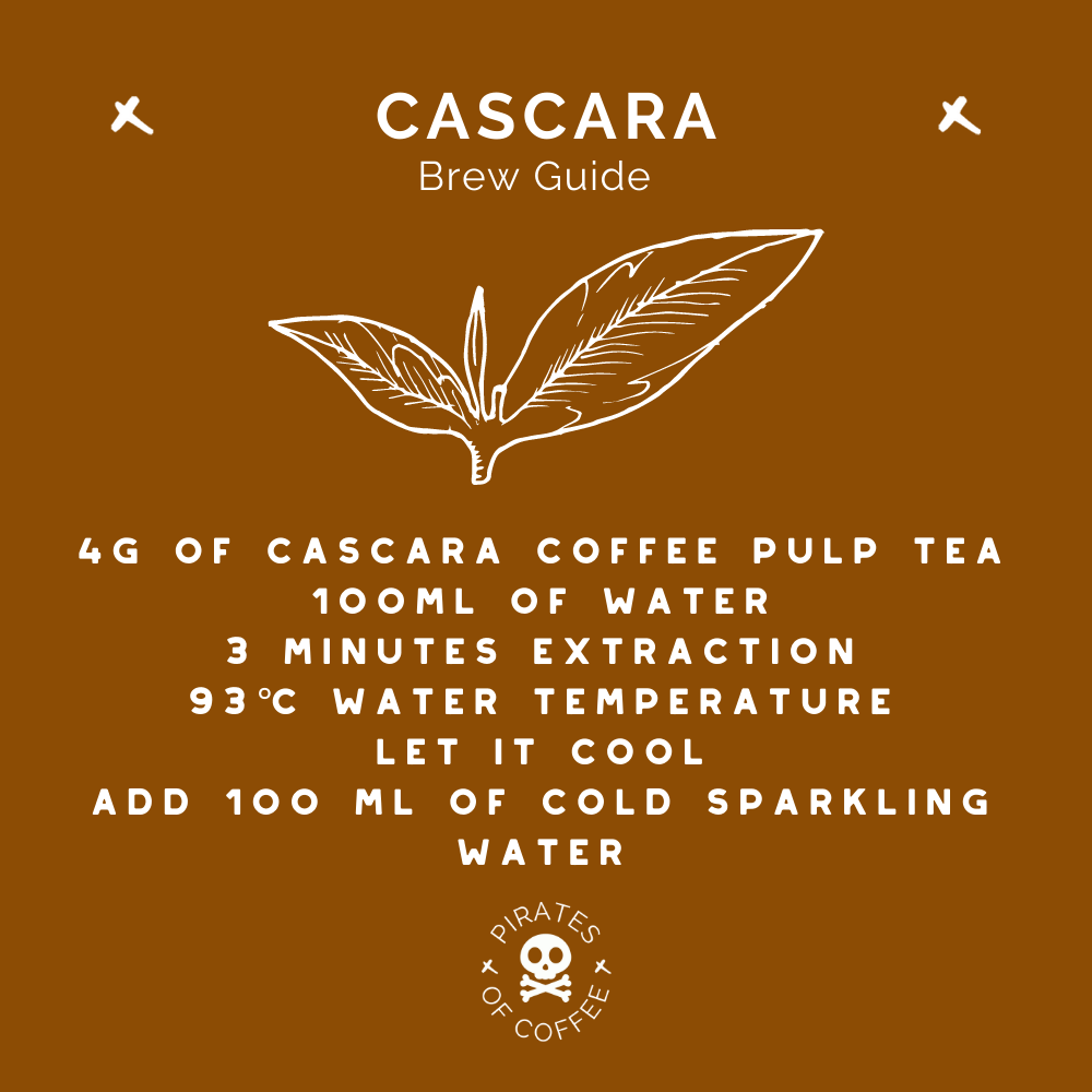 CASCARA: Brazil Coffee Pulp Tea