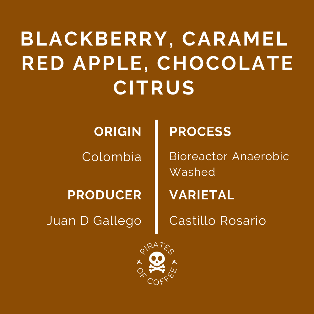BIO: Colombia Bioreactor Anaerobic