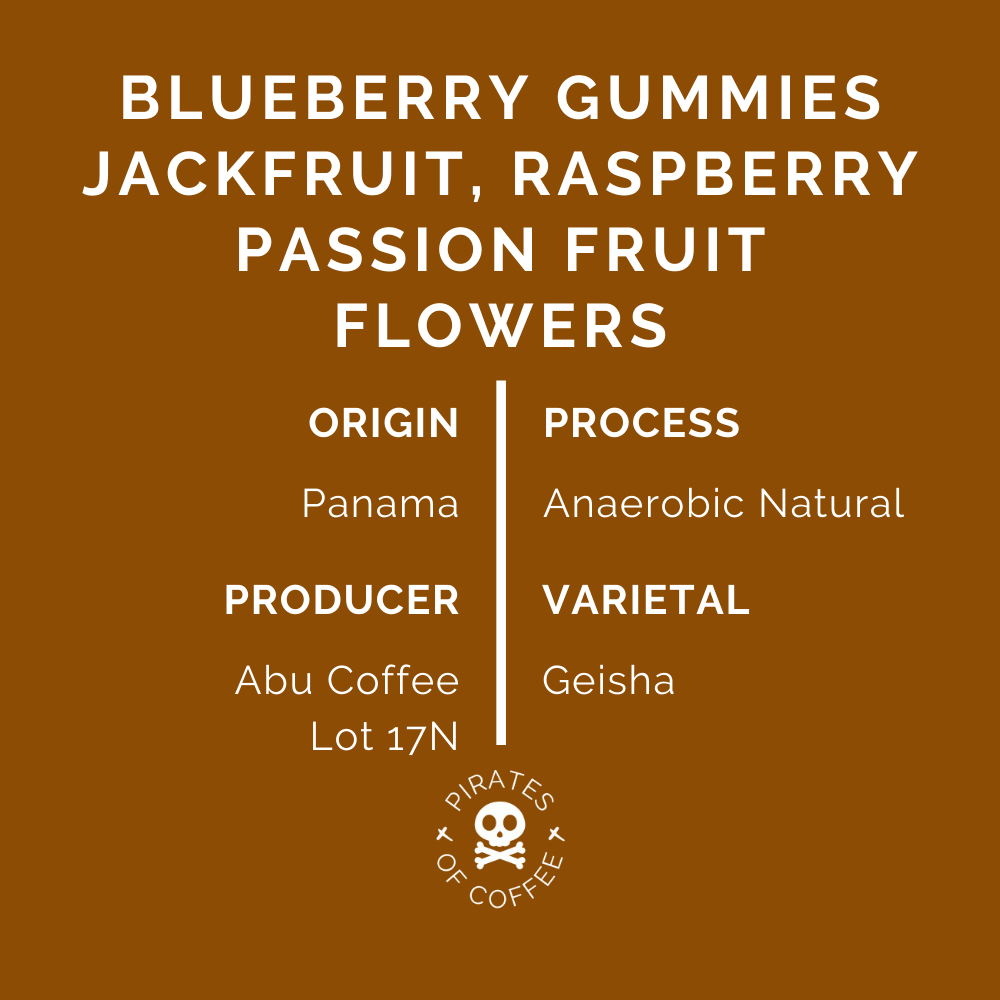BLUE GEISHA: Abu Coffee Panama Lot 17N (Anaerobic Natural)