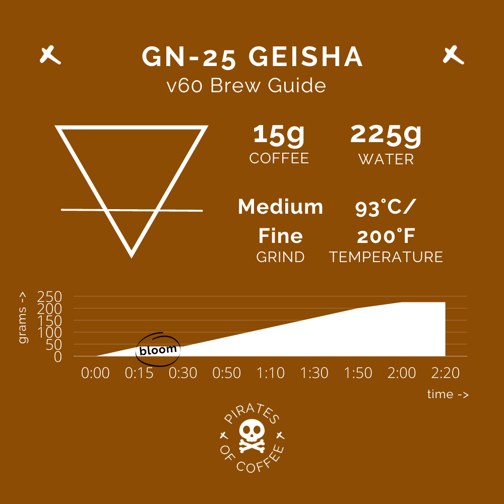 GN-25 GEISHA: Panama Abu Coffee Anaerobic Natural