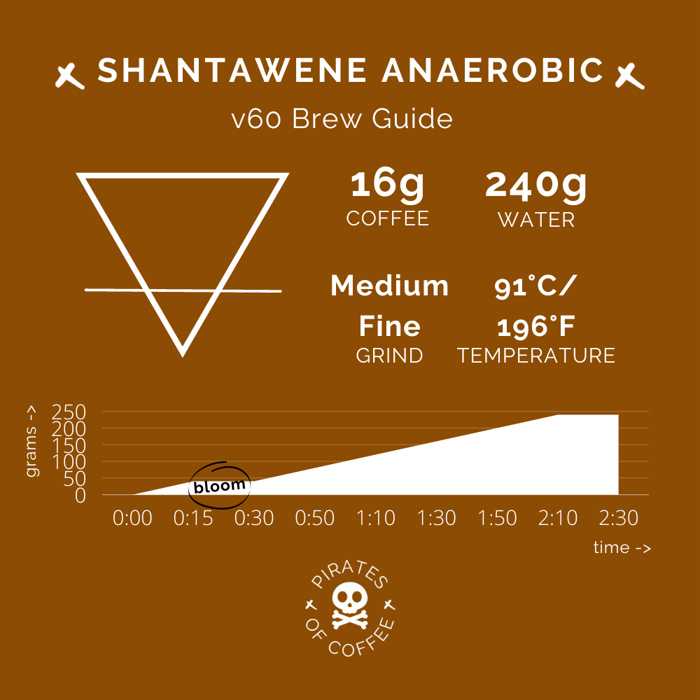 SHANTAWENE ANAEROBIC: Ethiopia Anaerobic Natural (2022)