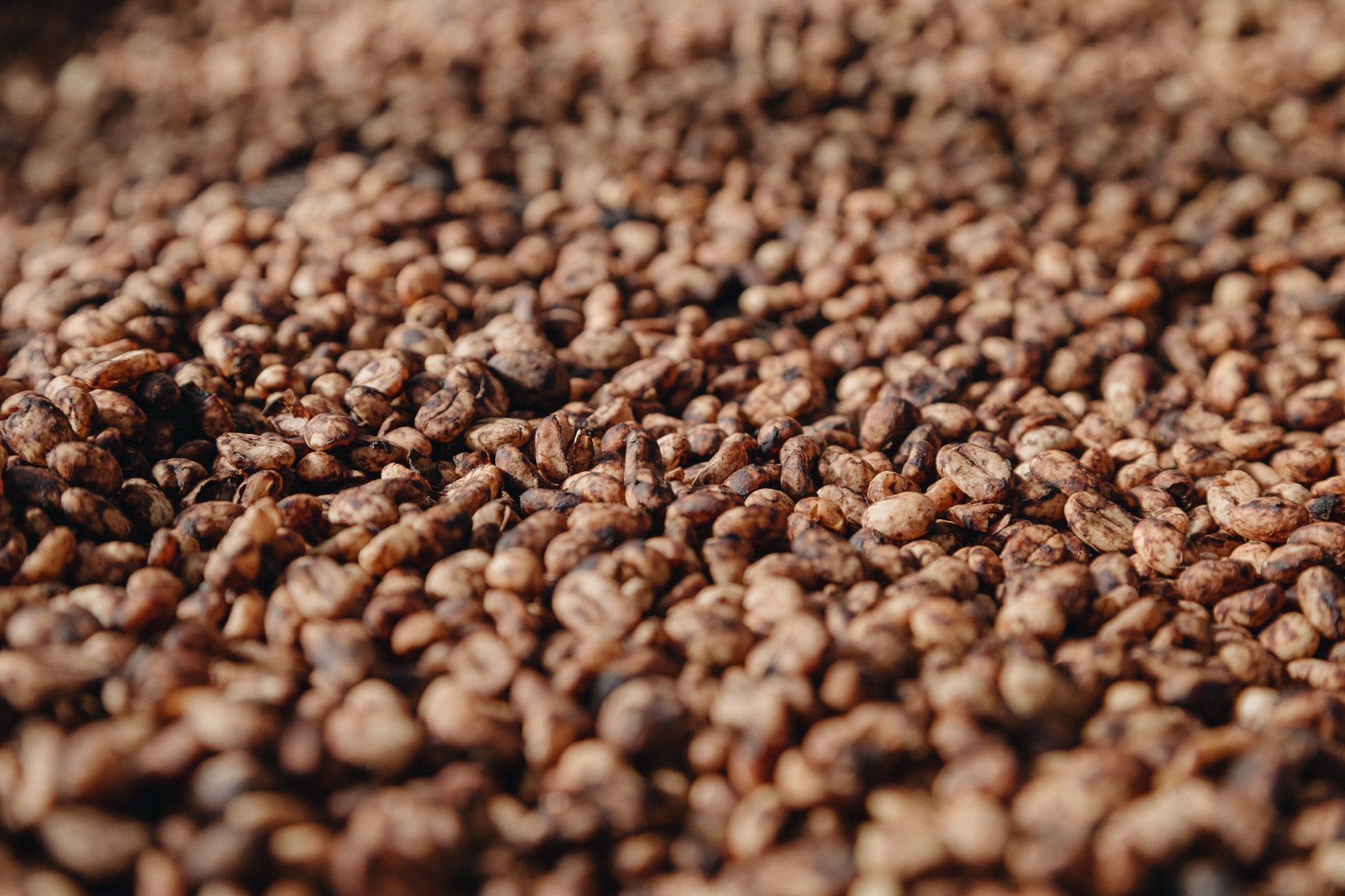 BUBBLY: Colombia Anaerobic Natural