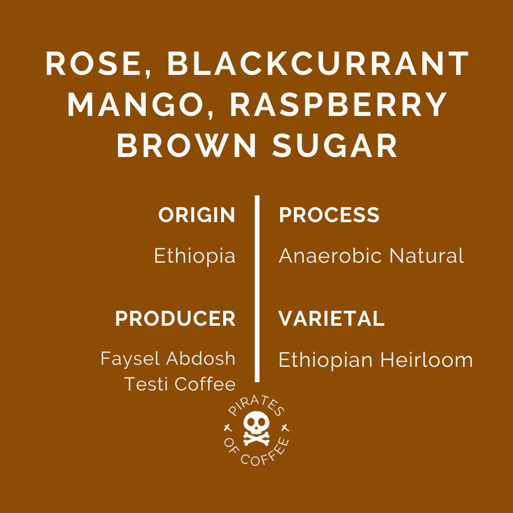 SHANTAWENE ANAEROBIC: Ethiopia Anaerobic Natural (2022)