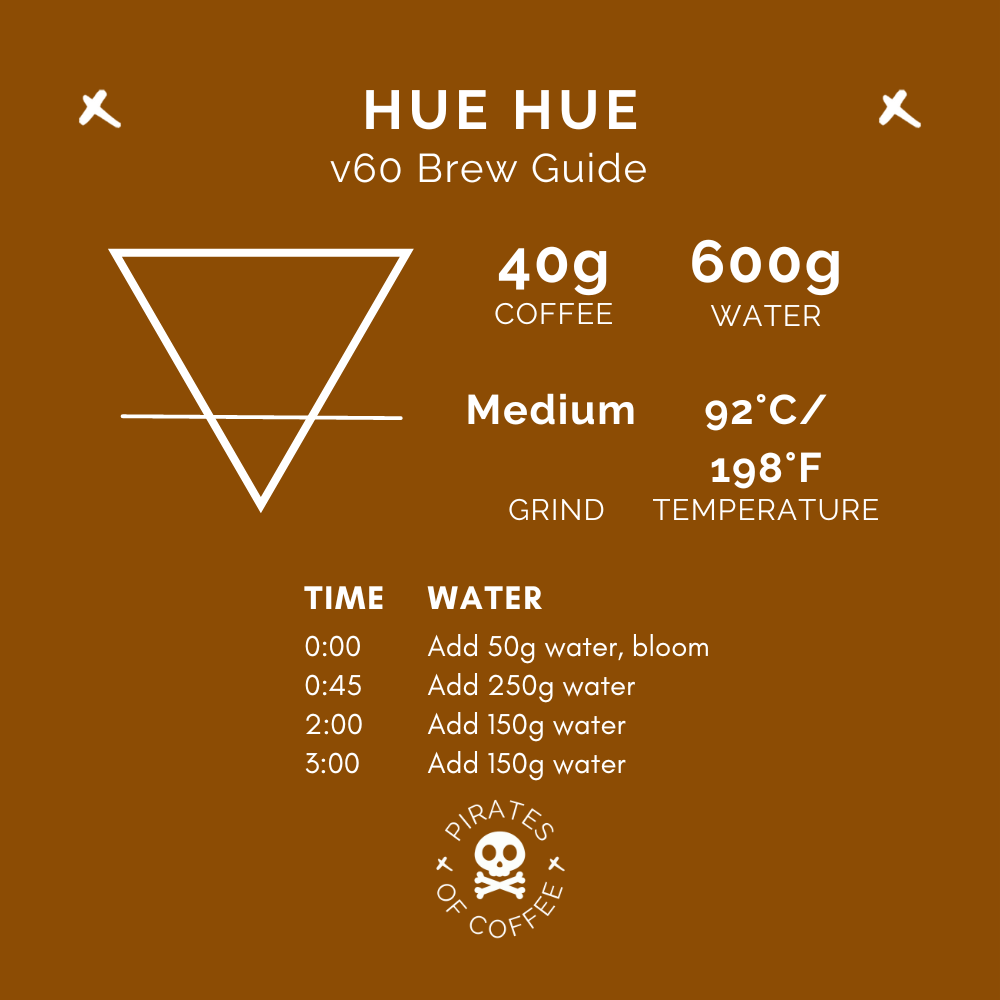 HUE HUE: Guatemala Washed