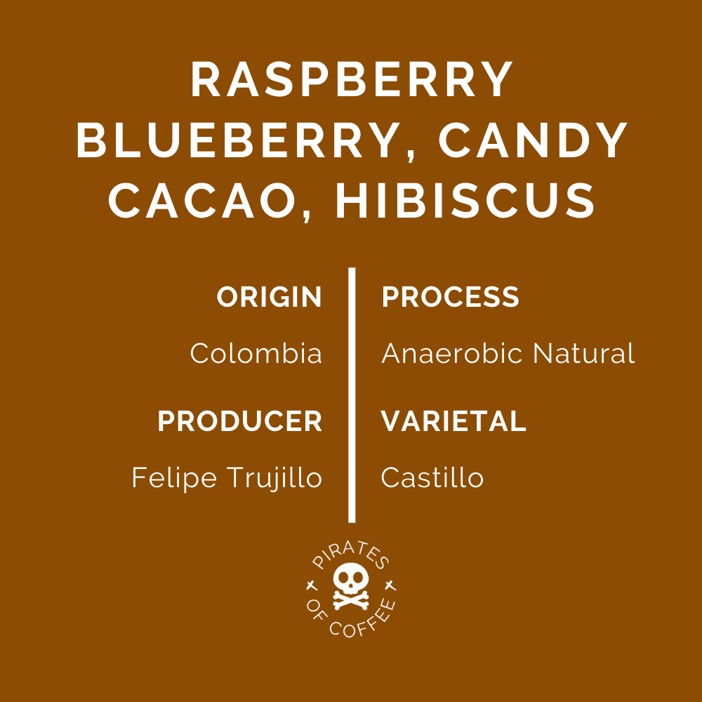BUBBLY: Colombia Anaerobic Natural