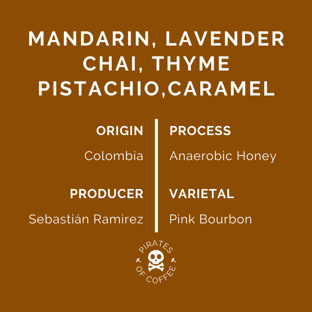 HADŌKEN: Colombia Anaerobic Honey