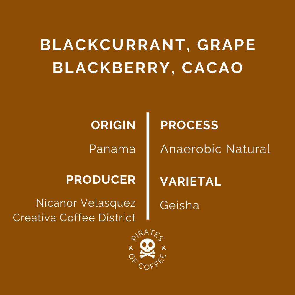 BLACK GEISHA: Panama Creativa Coffee District