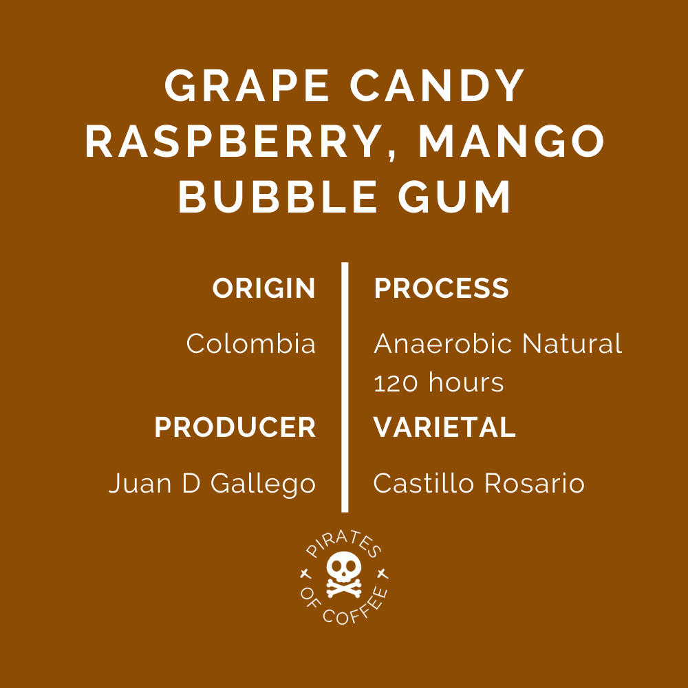 BUBBLE GUM: Colombia Anaerobic 2022