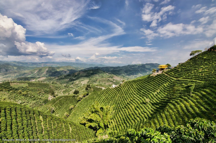 BIO: Colombia Bioreactor Anaerobic
