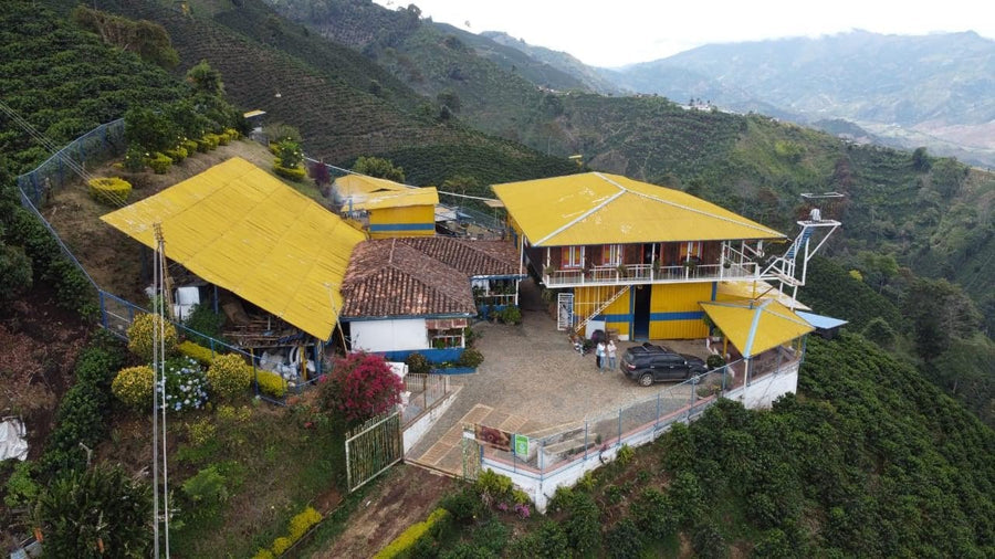 BUBBLE GUM: Colombia Anaerobic 2022