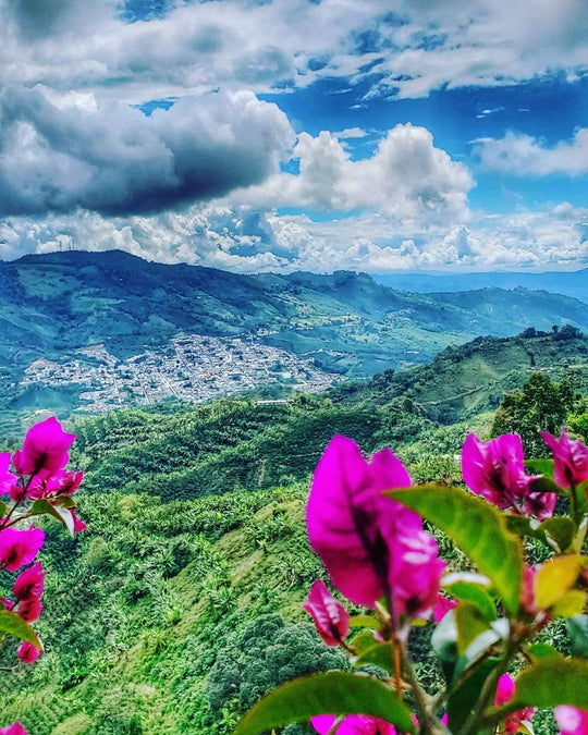 BIO: Colombia Bioreactor Anaerobic