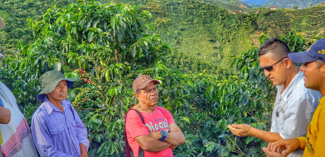 BUBBLE GUM: Colombia Anaerobic 2022