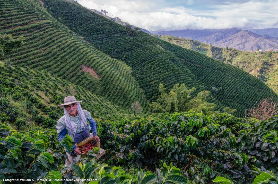 BIO: Colombia Bioreactor Anaerobic
