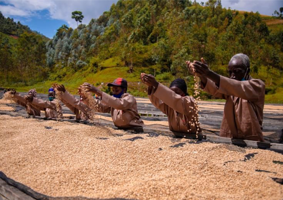 GASHARU: Rwanda Natural