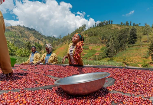 GASHARU: Rwanda Natural
