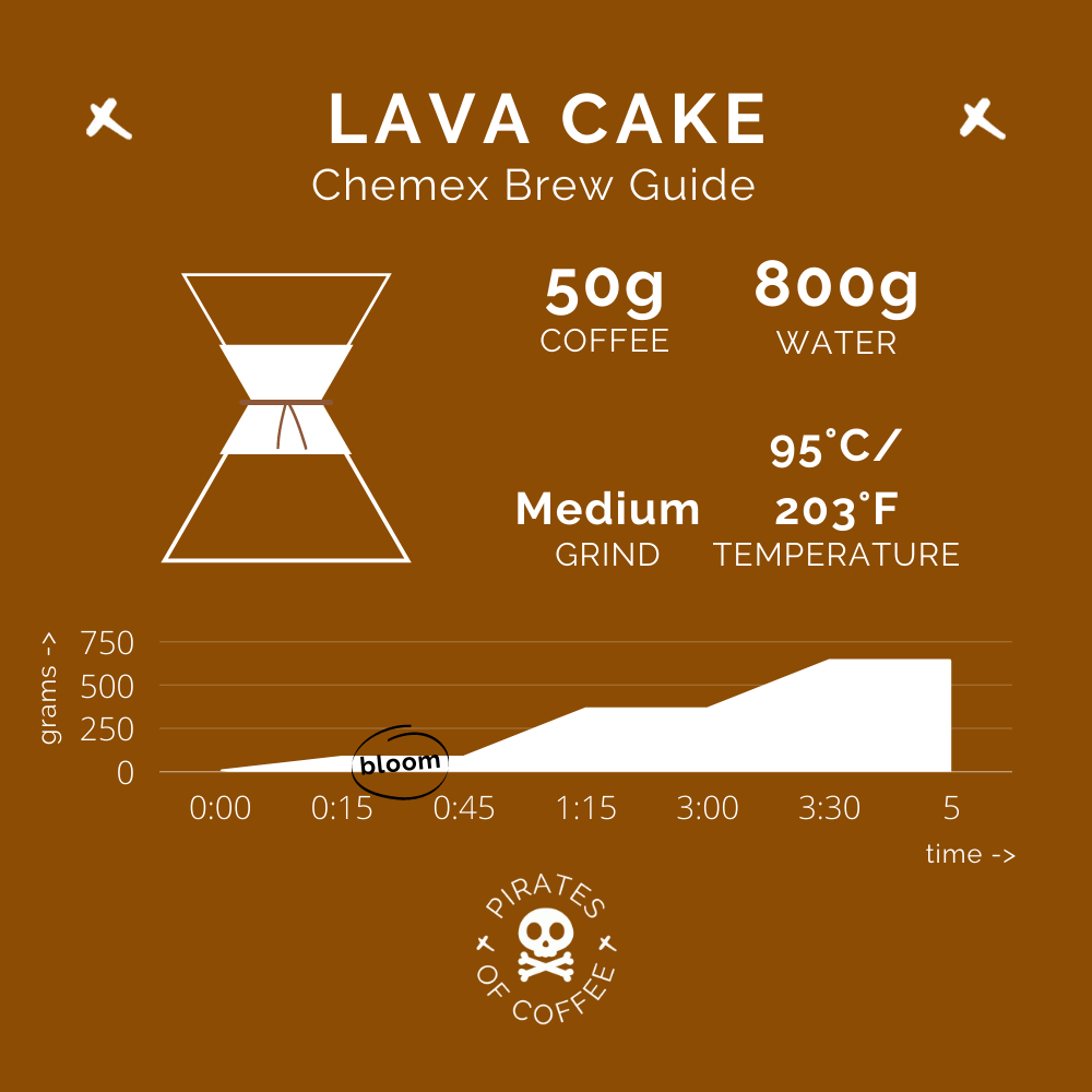 LAVA CAKE: Costa Rica, Honey Process