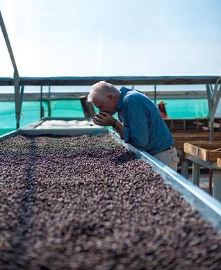 PANAMA GEISHA N34: Creativa Coffee District
